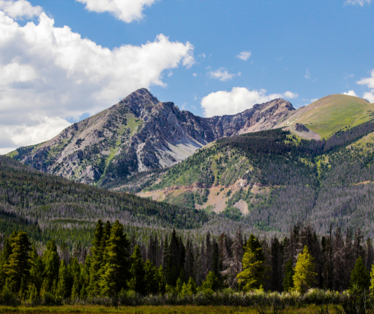 How to Plan Around Park Permit Systems