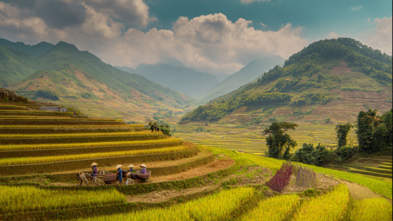 Best Time to Visit Vietnam by Region