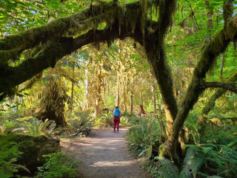 How to Plan a National Park Trip